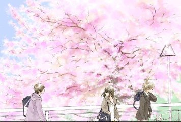 蘑菇tv成版入口电脑版