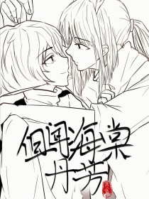 柠檬导航官方
